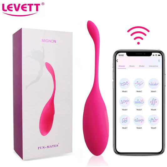 LEVETT Vibrator